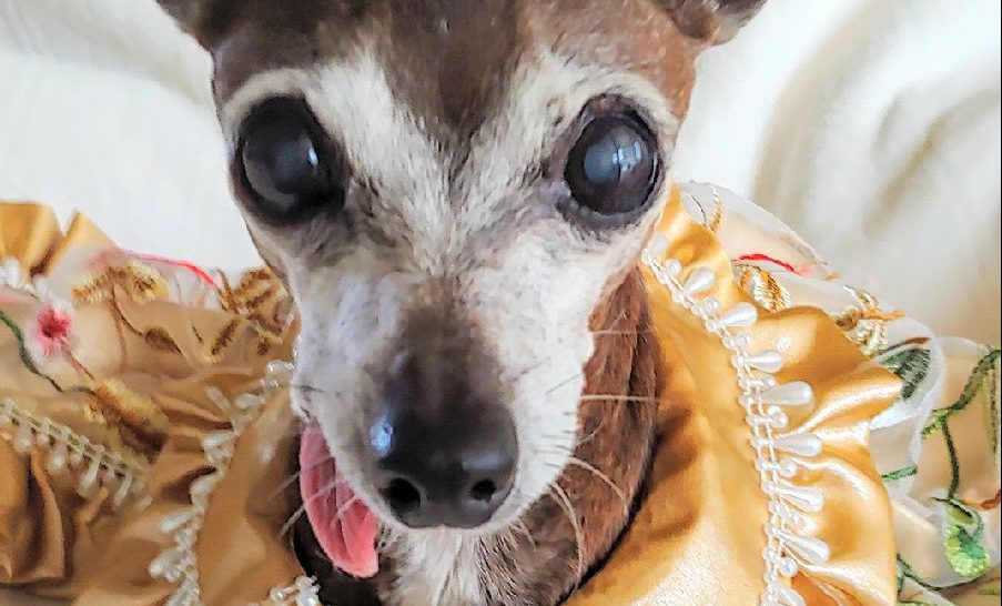 Miss Olive