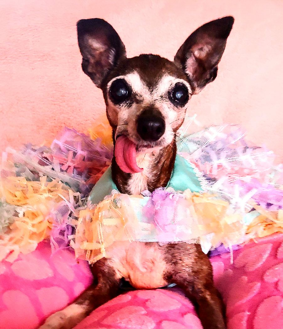 Miss Olive