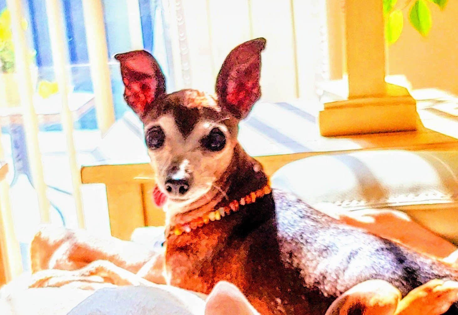 Miss Olive