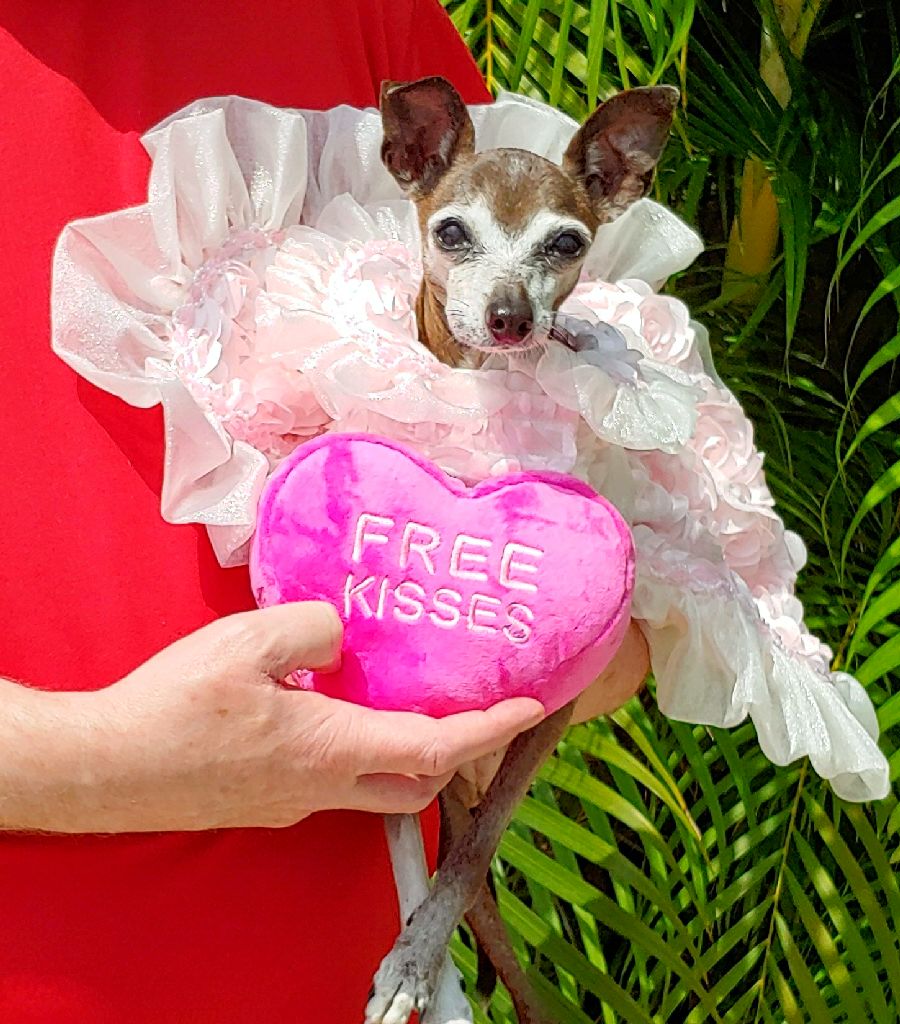 Miss Olive gives free kisses